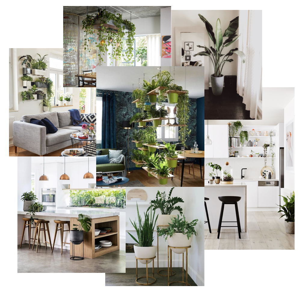 Clean Air in Home & Office Spaces